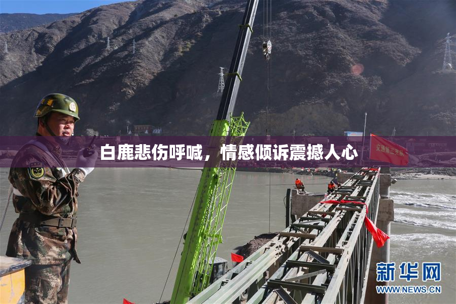 白鹿悲伤呼喊，情感倾诉震撼人心