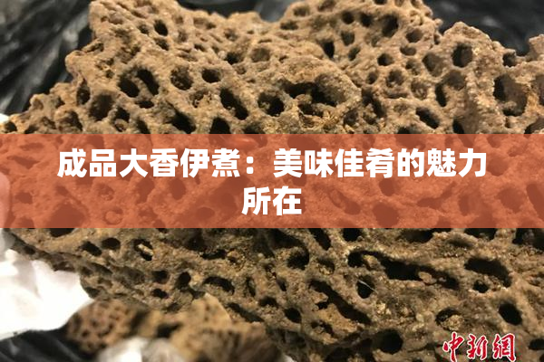 成品大香伊煮：美味佳肴的魅力所在