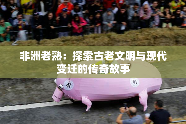 非洲老熟：探索古老文明与现代变迁的传奇故事