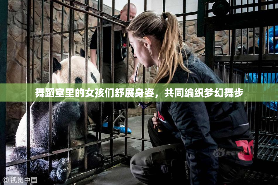 舞蹈室里的女孩们舒展身姿，共同编织梦幻舞步