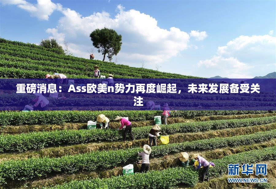 重磅消息：Ass欧美n势力再度崛起，未来发展备受关注