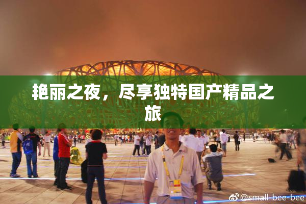 艳丽之夜，尽享独特国产精品之旅