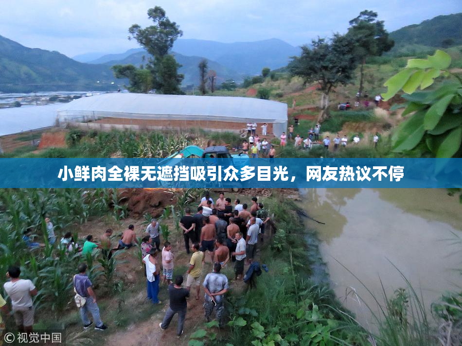 小鲜肉全裸无遮挡吸引众多目光，网友热议不停