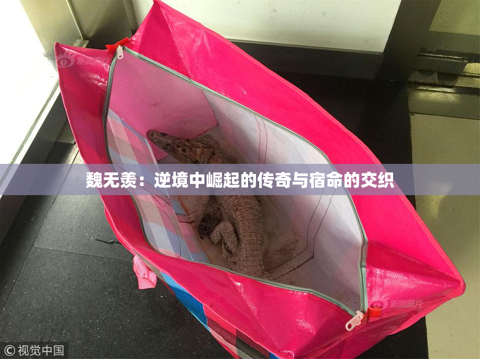 魏无羡：逆境中崛起的传奇与宿命的交织