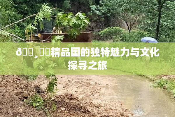 🌸‌✿精品国的独特魅力与文化探寻之旅