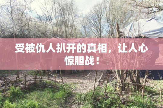 受被仇人扒开的真相，让人心惊胆战！