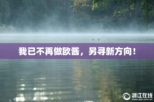 我已不再做欧酱，另寻新方向！