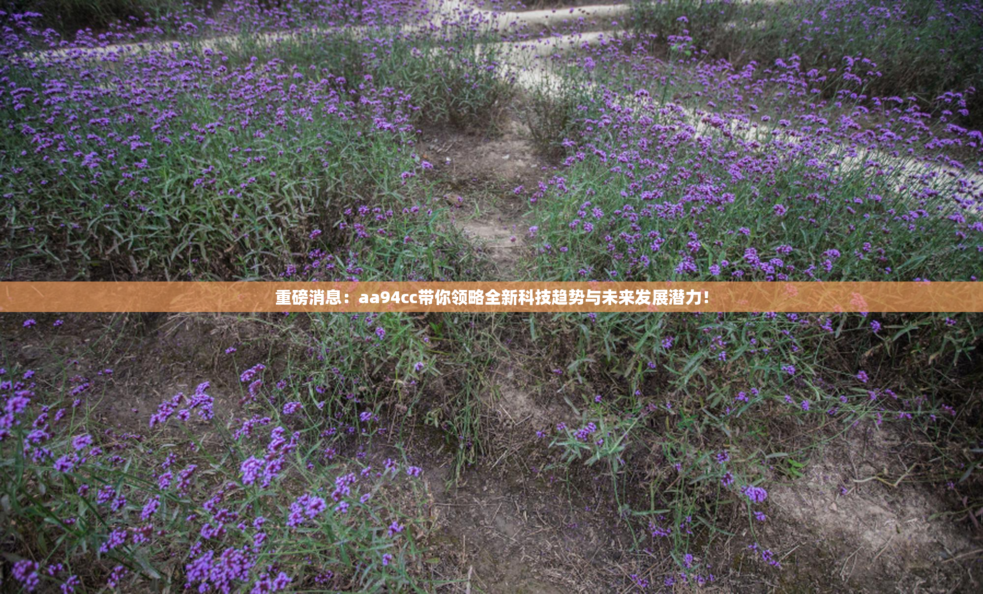 重磅消息：aa94cc带你领略全新科技趋势与未来发展潜力！