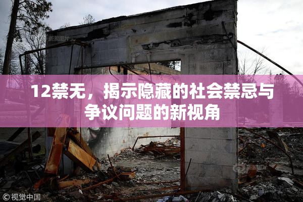 12禁无，揭示隐藏的社会禁忌与争议问题的新视角