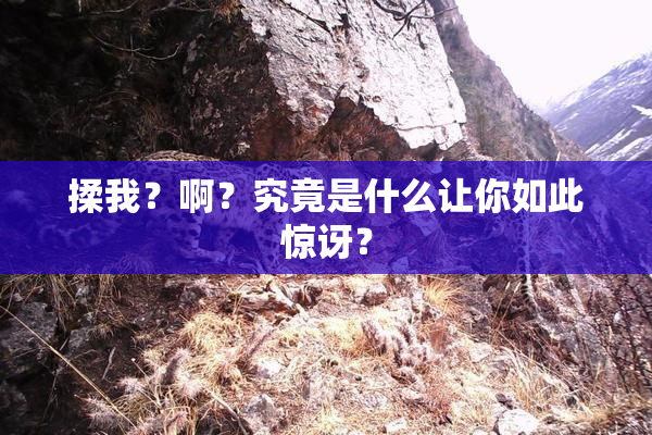 揉我？啊？究竟是什么让你如此惊讶？
