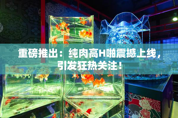 重磅推出：纯肉高H啪震撼上线，引发狂热关注！