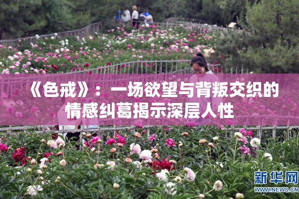 《色戒》：一场欲望与背叛交织的情感纠葛揭示深层人性