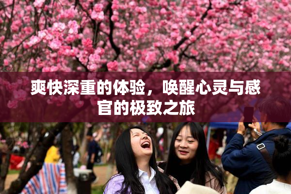爽快深重的体验，唤醒心灵与感官的极致之旅