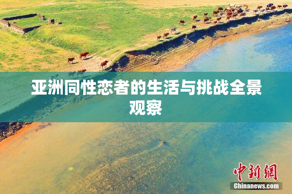 亚洲同性恋者的生活与挑战全景观察