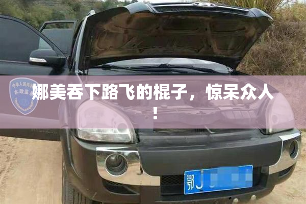 娜美吞下路飞的棍子，惊呆众人！