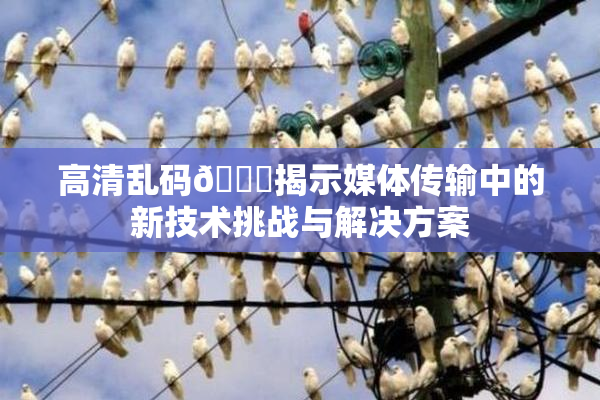 高清乱码🔞揭示媒体传输中的新技术挑战与解决方案