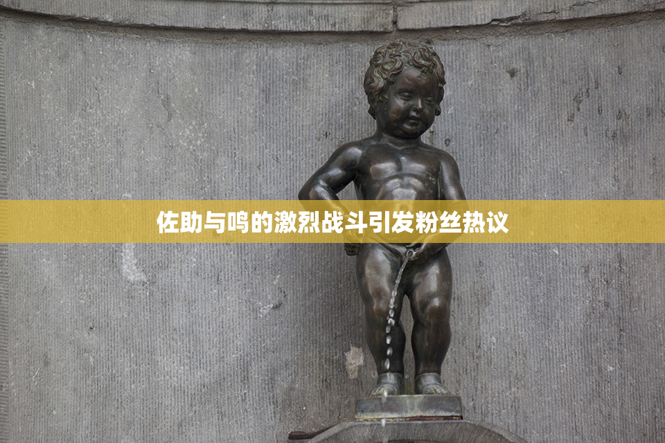 佐助与鸣的激烈战斗引发粉丝热议