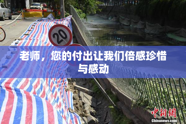 老师，您的付出让我们倍感珍惜与感动