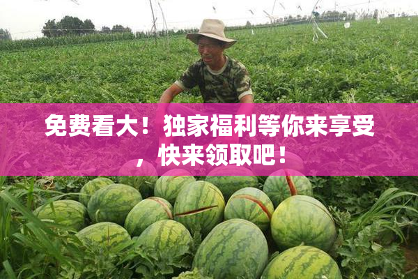免费看大！独家福利等你来享受，快来领取吧！