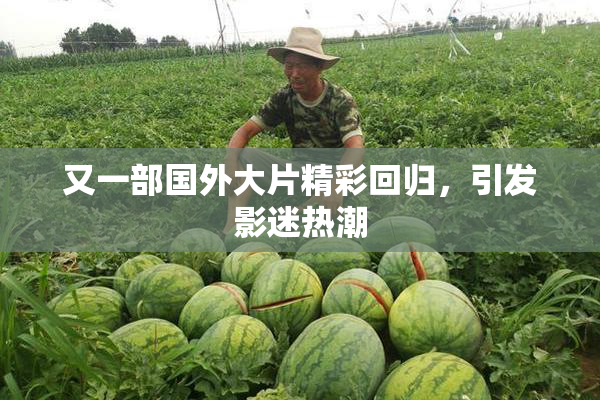又一部国外大片精彩回归，引发影迷热潮