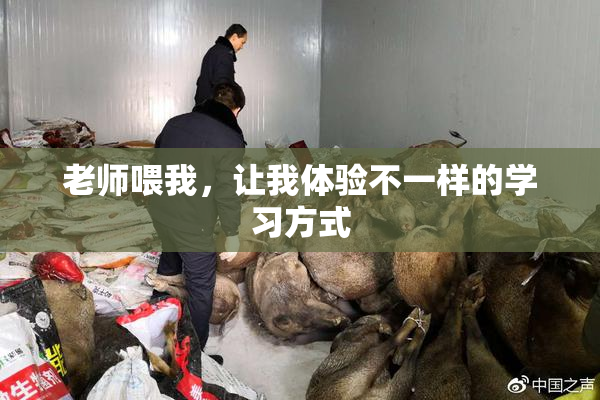 老师喂我，让我体验不一样的学习方式
