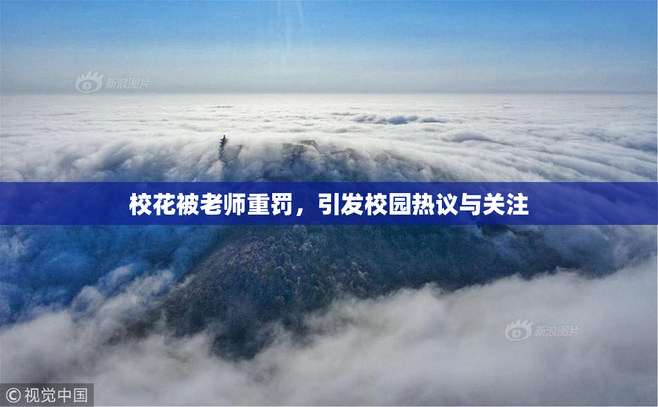 校花被老师重罚，引发校园热议与关注