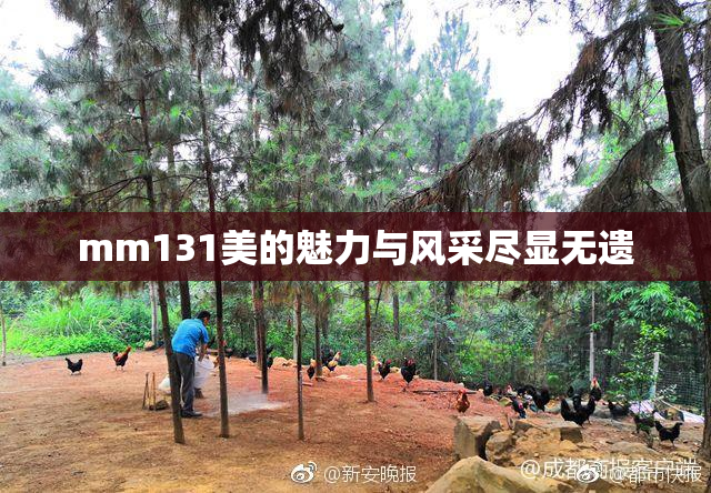mm131美的魅力与风采尽显无遗