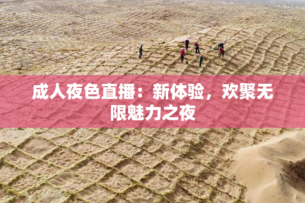 成人夜色直播：新体验，欢聚无限魅力之夜