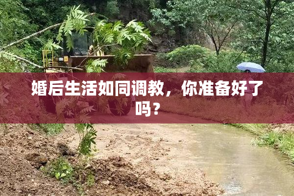 婚后生活如同调教，你准备好了吗？