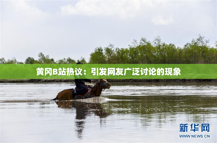 黄冈B站热议：引发网友广泛讨论的现象