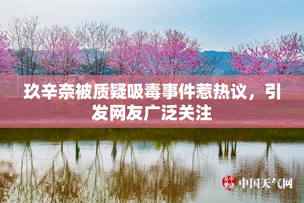 玖辛奈被质疑吸毒事件惹热议，引发网友广泛关注