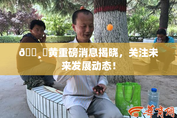 🌸‌黄重磅消息揭晓，关注未来发展动态！
