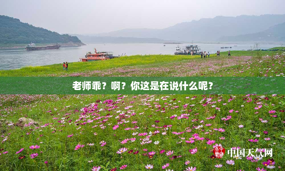 老师乖？啊？你这是在说什么呢？