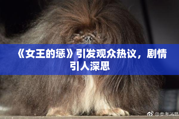 《女王的惩》引发观众热议，剧情引人深思