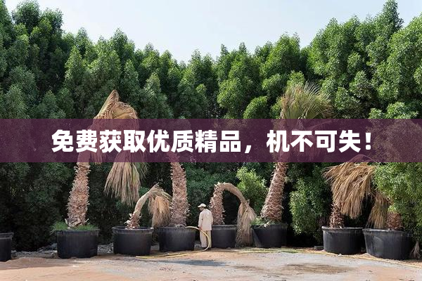免费获取优质精品，机不可失！