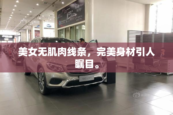 美女无肌肉线条，完美身材引人瞩目。
