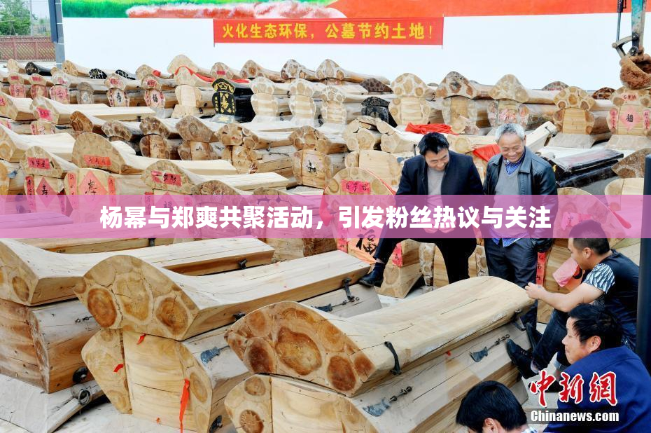 杨幂与郑爽共聚活动，引发粉丝热议与关注