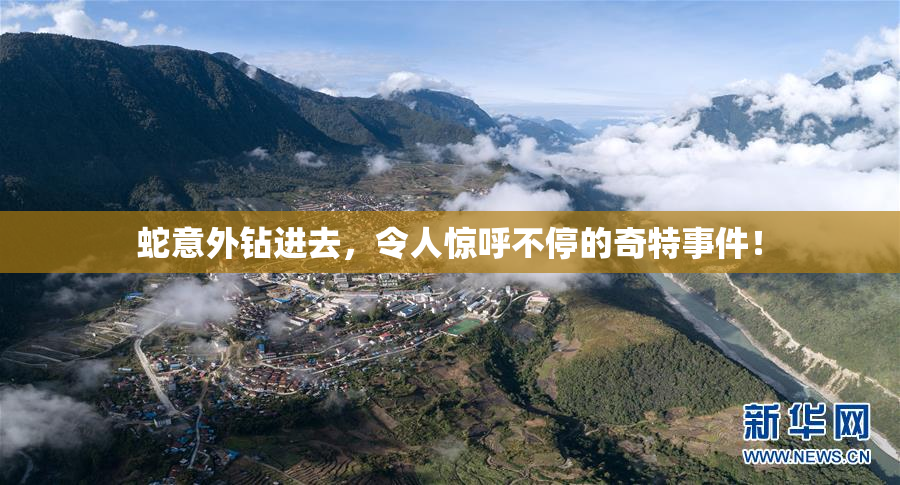 蛇意外钻进去，令人惊呼不停的奇特事件！