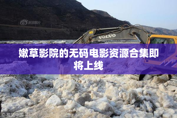 嫩草影院的无码电影资源合集即将上线