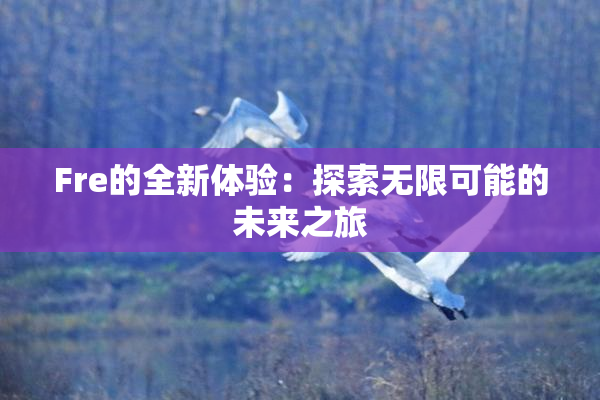 Fre的全新体验：探索无限可能的未来之旅