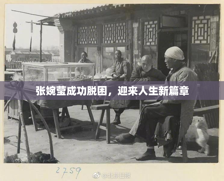 张婉莹成功脱困，迎来人生新篇章