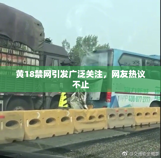 黄18禁网引发广泛关注，网友热议不止