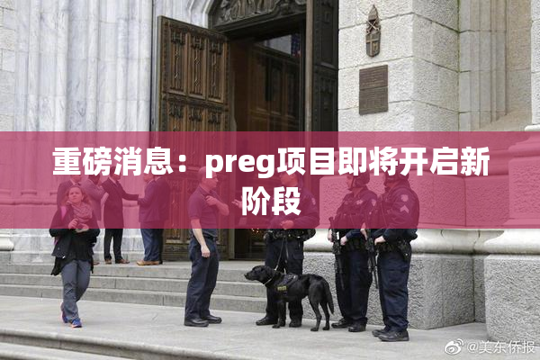 重磅消息：preg项目即将开启新阶段
