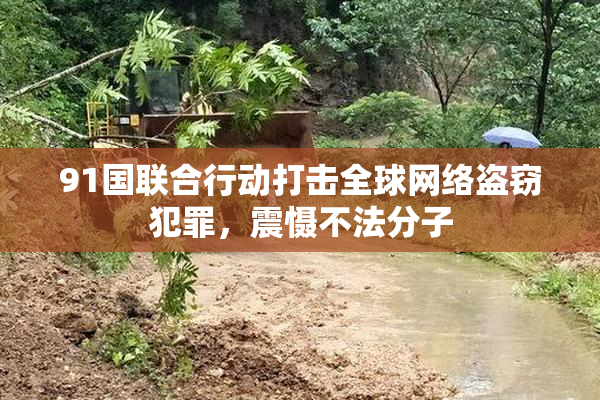 91国联合行动打击全球网络盗窃犯罪，震慑不法分子