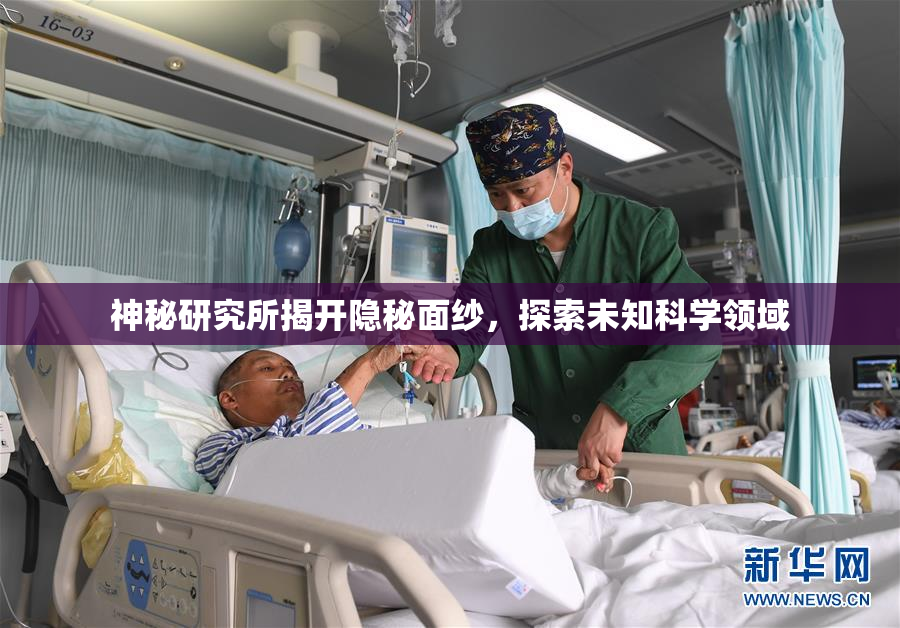 神秘研究所揭开隐秘面纱，探索未知科学领域