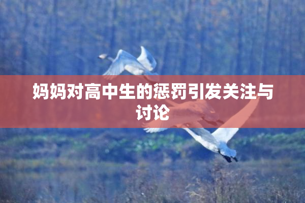 妈妈对高中生的惩罚引发关注与讨论