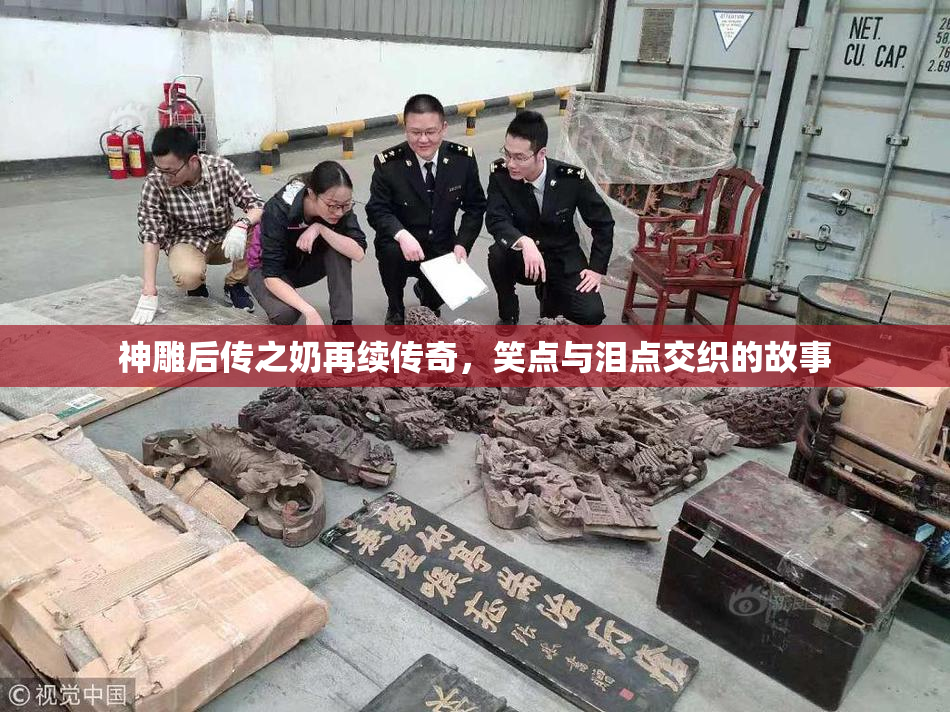 神雕后传之奶再续传奇，笑点与泪点交织的故事
