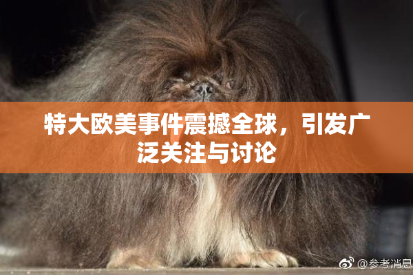 特大欧美事件震撼全球，引发广泛关注与讨论