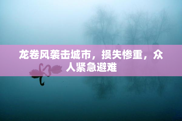 龙卷风袭击城市，损失惨重，众人紧急避难