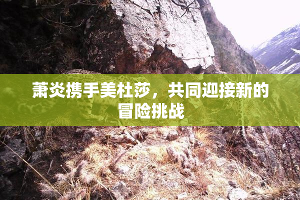 萧炎携手美杜莎，共同迎接新的冒险挑战